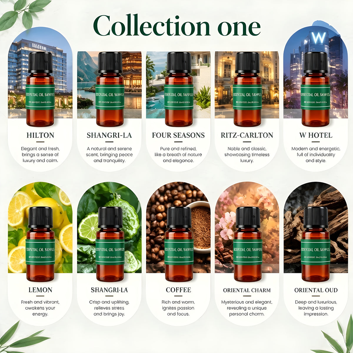 Noor™ - Natural Essential Plant Oils (Luxurious 10 pc set)