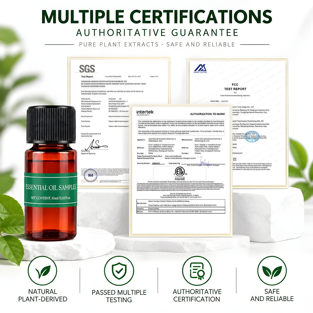 Noor™ - Natural Essential Plant Oils (Luxurious 10 pc set)