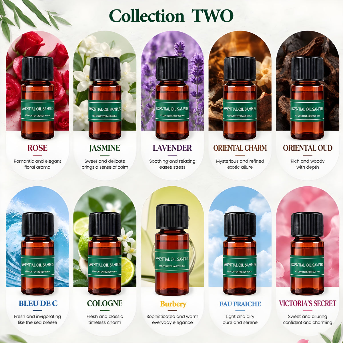 Noor™ - Natural Essential Plant Oils (Luxurious 10 pc set)